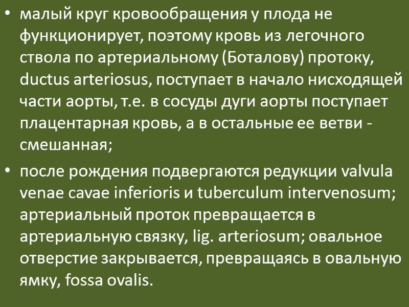 малый круг кровообращения у плода не функционирует, поэтому кровь из легочного ствола по артериальному